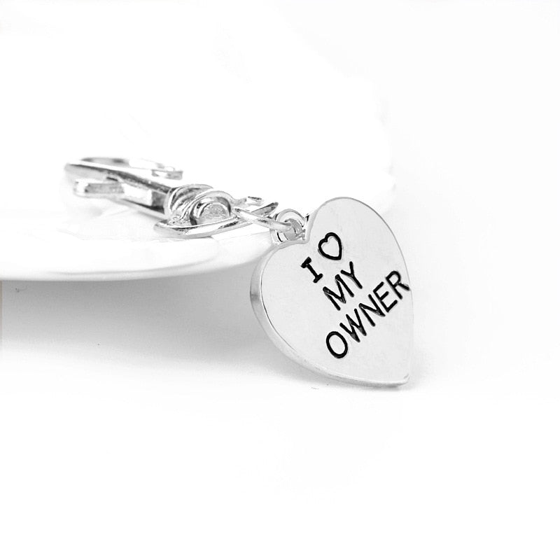 Pet Memory Charm Set