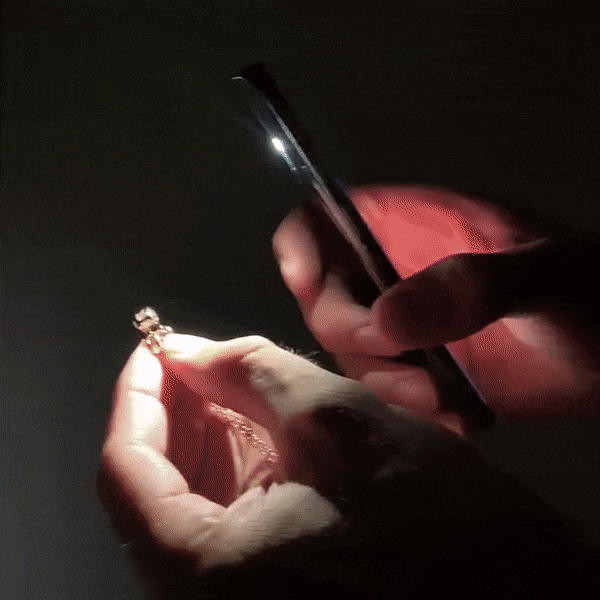 Heart Ring Personalized Projection Photo Rings